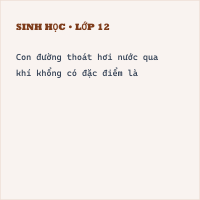 Đề thi giữa kì 1 Sinh 11 có đáp án ( Đề 1)