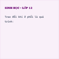 Trắc nghiệm Sinh học Bài 21 (có đáp án): Hoạt động hô hấp