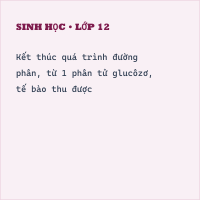 Chuyên đề Sinh Đề kiểm tra học kì I có đáp án