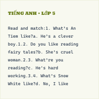 Bài tập Tiếng Anh lớp 5 Unit 8: What are you reading? có đáp án