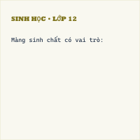Trắc nghiệm Sinh Bài 8 (có đáp án): Tế bào nhân thực