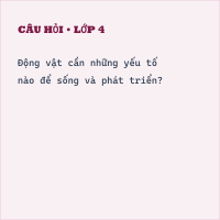 Trắc nghiệm Khoa học lớp 4 KNTT Bài 18: Ôn tập chủ đề thực vật và động vật có đáp án