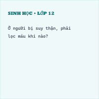 Trắc nghiệm Sinh học Bài 38 (có đáp án): Bài tiết và cấu tạo hệ bài tiết nước tiểu