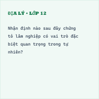 Trắc nghiệm Địa Lí Bài 9 (có đáp án): Sự phát triển và phân bố lâm nghiệp, thủy sản