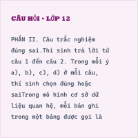Tự luận Tin học 11 Bài 13 có đáp án