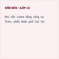 Trắc nghiệm Tin học 9 Bài 5 có đáp án