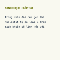 Trắc nghiệm Sinh Bài 16 (có đáp án): AND và bản chất của gen