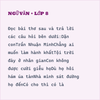 Bộ đề thi giữa kì Ngữ Văn lớp 8 có đáp án ( Đề 6 )