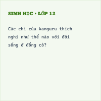 Trắc nghiệm Sinh Học Bài 48: (có đáp án) Đa dạng của lớp Thú, bộ Thú huyệt, bộ Thú túi (phần 2)