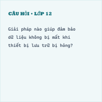 Trắc nghiệm Tin học 11 Bài 15 có đáp án