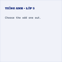 Đề thi giữa kì 1 Tiếng Anh lớp 5 i-Learn Smart Start có đáp án (Đề 3)