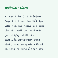 Đề thi giữa kì 1 môn Ngữ Văn lớp 9 có đáp án (Đề 9)