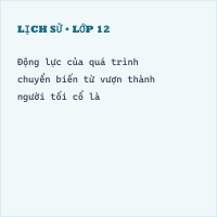 Trắc nghiệm Lịch Sử Bài 3: (có đáp án) Xã hội nguyên thuỷ (phần 2)