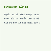 Trắc nghiệm Sinh Học Bài 50: Vi khuẩn