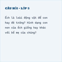 Đề thi cuối kì 1 Khoa học lớp 5 có đáp án (Đề 2)