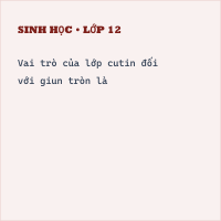 Đề thi Sinh học 7 học kì 1 có đáp án (Đề 4)